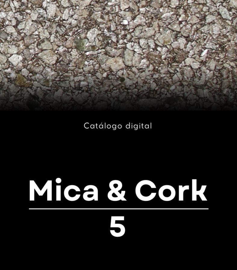 MICA V